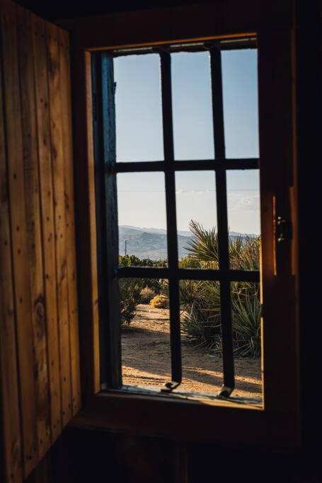 Joshua Tree Hidden Tower * Views - Landmark 尤卡谷 外观 照片